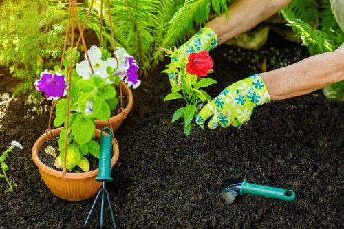 Beautiful Bounds Green garden with professional maintenance