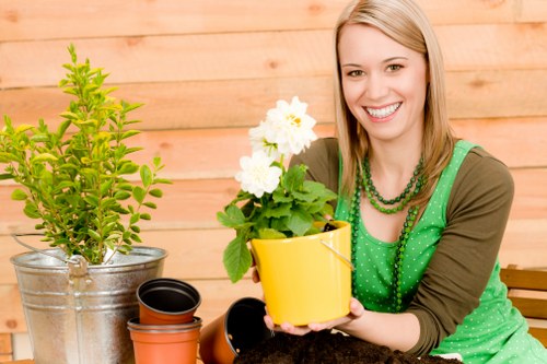 Sustainable garden practices in Bounds Green