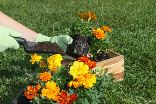 Garden pruning and trimming services in Bounds Green
